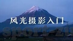 街机森林舞会下载苹果-街机森林舞会，在苹果设备上体验经典游戏的魅力